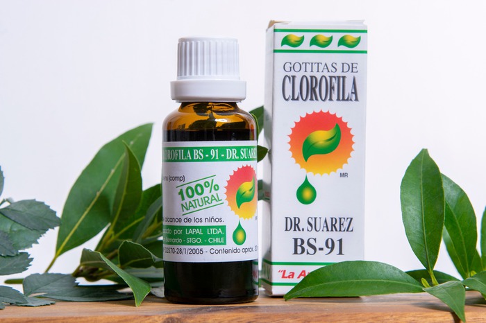 clorofila